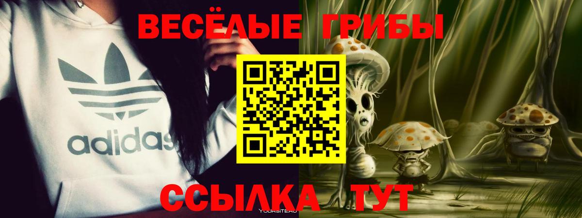 Галлюциногенные грибы Psilocybine cubensis Уссурийск