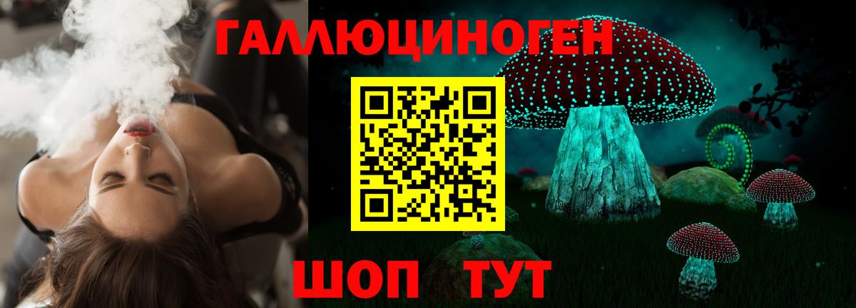 Псилоцибиновые грибы Psilocybine cubensis  Вход с VPN  купить наркотики сайты  Псилоцибиновые грибы Psilocybe  Уссурийск 
